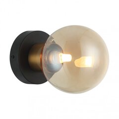 Sienas lampa Bletter WL-5225-1-BRO-AMB цена и информация | Настенные светильники | 220.lv