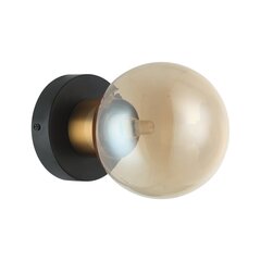 Sienas lampa Bletter WL-5225-1-BRO-AMB цена и информация | Настенные светильники | 220.lv