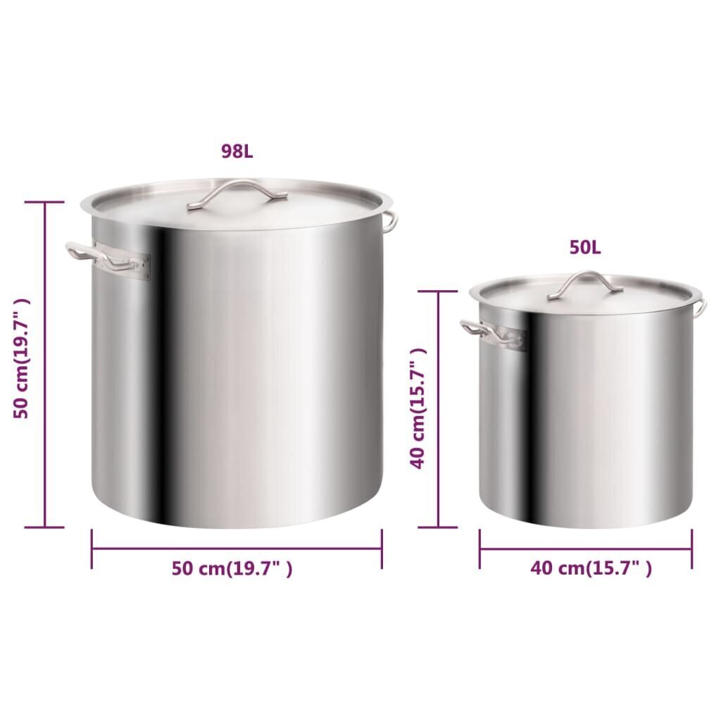 vidaXL 2-daļīgs zupas katlu komplekts, 98/50 L, nerūsējošs tērauds цена и информация | Katli, tvaika katli | 220.lv