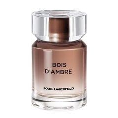 Smaržas Karl Lagerfeld Bois d'Ambre EDT 50ml cena un informācija | Vīriešu smaržas | 220.lv