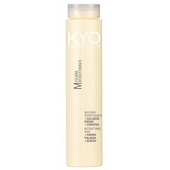 Freelimix KYO Maschera Ristrutturante - Reconstructive Hair Mask 250ml цена и информация | Средства для укрепления волос | 220.lv