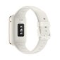 Xiaomi Smart Band 7 Pro White cena un informācija | Fitnesa aproces | 220.lv