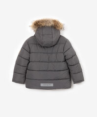 Детская зимняя куртка Gulliver, серая цена и информация | Зимняя одежда для детей | 220.lv