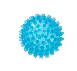 REFLEXBALL masāžas bumba ar tapām, 6 cm diametrā цена и информация | Аксессуары для массажа | 220.lv