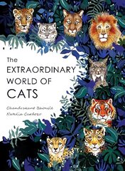 Extraordinary World of Cats cena un informācija | Grāmatas mazuļiem | 220.lv