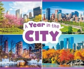 Year in the City цена и информация | Книги для малышей | 220.lv