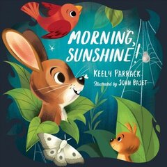 Morning, Sunshine! цена и информация | Книги для самых маленьких | 220.lv