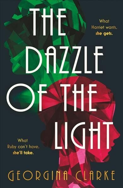 Dazzle of the Light cena un informācija | Fantāzija, fantastikas grāmatas | 220.lv