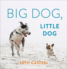 Big Dog, Little Dog цена и информация | Книги по фотографии | 220.lv