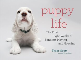 Puppy Life: The First Eight Weeks of Bonding, Playing, and Growing cena un informācija | Grāmatas par fotografēšanu | 220.lv