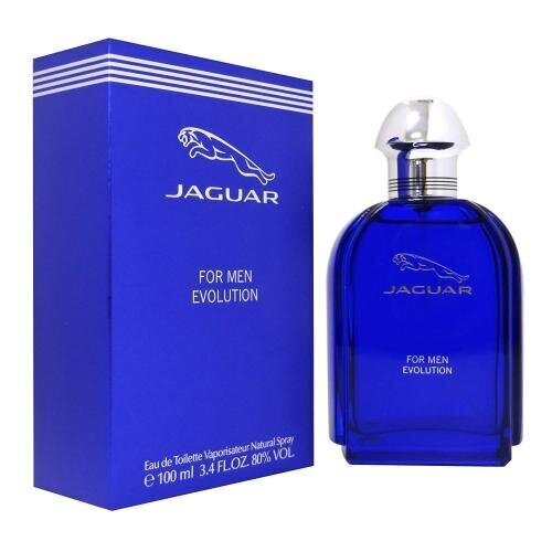 Jaguar for Men Evolution EDT vīriešiem 100 ml цена и информация | Vīriešu smaržas | 220.lv