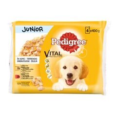 PEDIGREE Junior konservi suņiem 4x100 g cena un informācija | Konservi suņiem | 220.lv