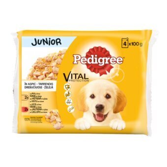 PEDIGREE Junior konservi suņiem 4x100 g цена и информация | Konservi suņiem | 220.lv