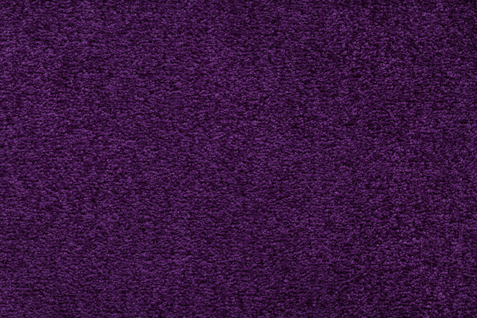 Paklājs - celiņš ETON 114 violeta cena un informācija | Paklāji | 220.lv