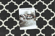 Paklājs - celiņš BCF MORAD Trelis Marokas pelēks / krēms 70 cm цена и информация | Paklāji | 220.lv