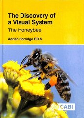 Discovery of a Visual System - The Honeybee cena un informācija | Ekonomikas grāmatas | 220.lv