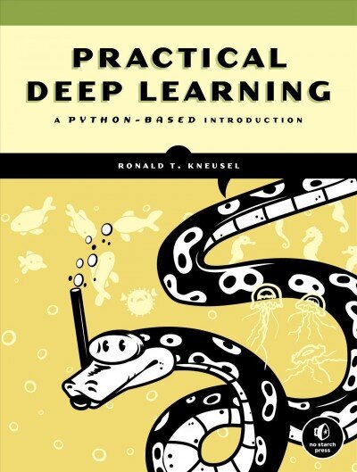 Practical Deep Learning: A Python-Based Introduction цена и информация | Ekonomikas grāmatas | 220.lv