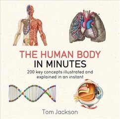 Human Body in Minutes Illustrated edition cena un informācija | Ekonomikas grāmatas | 220.lv