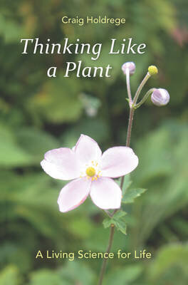 Thinking Like a Plant: A Living Science for Life cena un informācija | Ekonomikas grāmatas | 220.lv