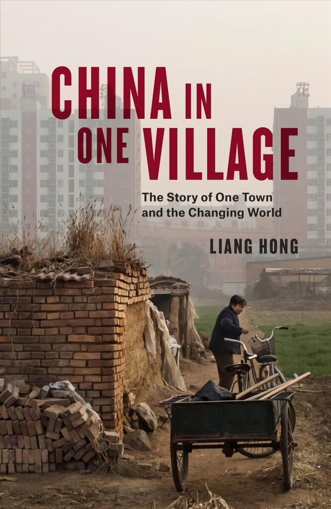 China in One Village: The Story of One Town and the Changing World cena un informācija | Vēstures grāmatas | 220.lv