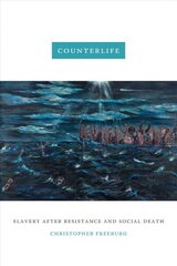 Counterlife: Slavery after Resistance and Social Death цена и информация | Исторические книги | 220.lv