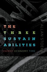 Three Sustainabilities: Energy, Economy, Time цена и информация | Исторические книги | 220.lv