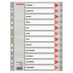 Atdalošās loksnes ESSELTE, Jan-Dec , A4, PP iepakojums 10 gab. cena un informācija | Kancelejas preces | 220.lv