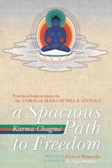Spacious Path to Freedom: Practical Instructions on the Union of Mahamudra and Atiyoga cena un informācija | Garīgā literatūra | 220.lv