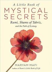 Little Book of Mystical Secrets: Rumi, Shams of Tabriz, and the Path of Ecstasy цена и информация | Духовная литература | 220.lv