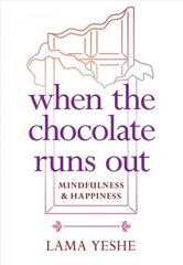 When the Chocolate Runs Out: Mindfulness and Happiness цена и информация | Духовная литература | 220.lv