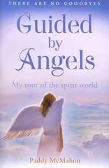 Guided By Angels: There are No Goodbyes, My Tour of the Spirit World edition cena un informācija | Pašpalīdzības grāmatas | 220.lv