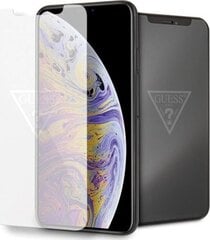 Защитное стекло Guess, для iPhone Xs Max цена и информация | Защитные пленки для телефонов | 220.lv