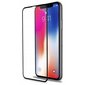 Rūdīts stikls, iPhone 12 Pro Max, 10D, melns цена и информация | Ekrāna aizsargstikli | 220.lv