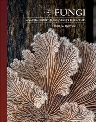 Lives of Fungi: A Natural History of Our Planet's Decomposers cena un informācija | Ekonomikas grāmatas | 220.lv