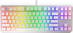 Endorfy Thock TKL OWH Kailh Brown RGB цена и информация | Клавиатуры | 220.lv