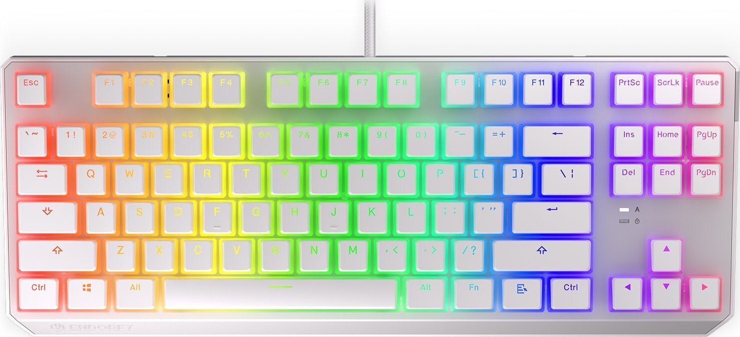 Endorfy Thock TKL OWH Kailh Brown RGB cena un informācija | Klaviatūras | 220.lv