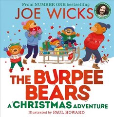 Christmas Adventure цена и информация | Книги для малышей | 220.lv