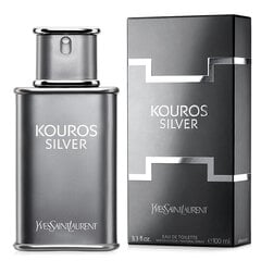 Tualetes ūdens Yves Saint Laurent Kouros Silver EDT 100 ml цена и информация | Мужские духи | 220.lv