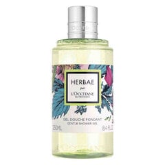 L´occitane Herbae Gentle Shower Gel - Dušas želeja ar savvaļas zāļu un ziedu smaržu 250 ml cena un informācija | Dušas želejas, eļļas | 220.lv