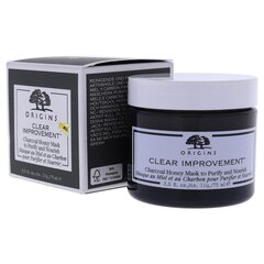 Sejas maska Origins Clear Improvement Kokogle (75 ml) cena un informācija | Sejas krēmi | 220.lv