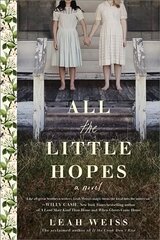 All the Little Hopes: A Novel цена и информация | Фантастика, фэнтези | 220.lv