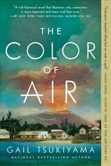 Color of Air: A Novel цена и информация | Фантастика, фэнтези | 220.lv