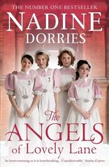 Angels Of Lovely Lane цена и информация | Фантастика, фэнтези | 220.lv