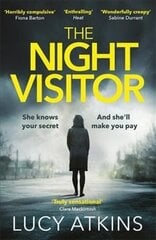 Night Visitor: the gripping thriller from the author of Magpie Lane цена и информация | Фантастика, фэнтези | 220.lv
