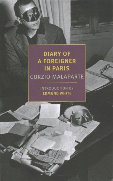 Diary of a Foreigner in Paris цена и информация | Fantāzija, fantastikas grāmatas | 220.lv