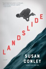 Landslide: A Novel цена и информация | Фантастика, фэнтези | 220.lv