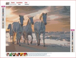Алмазная картина-мозаика 5D набор (клеика страз) 30x40 см DK41267 цена и информация | Алмазная мозаика | 220.lv