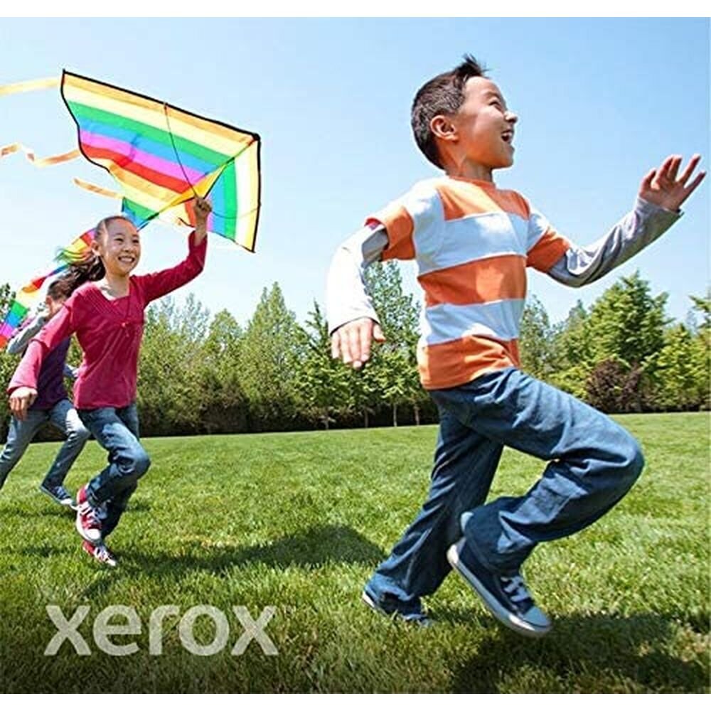 Xerox 006R03690 цена и информация | Tintes kārtridži | 220.lv