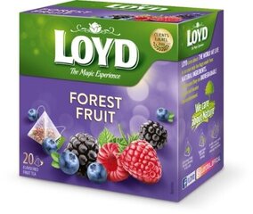 Augļu tēja Loyd ar meža ogu garšu, 20 gab. cena un informācija | Tēja | 220.lv