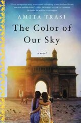 Color of Our Sky: A Novel цена и информация | Фантастика, фэнтези | 220.lv